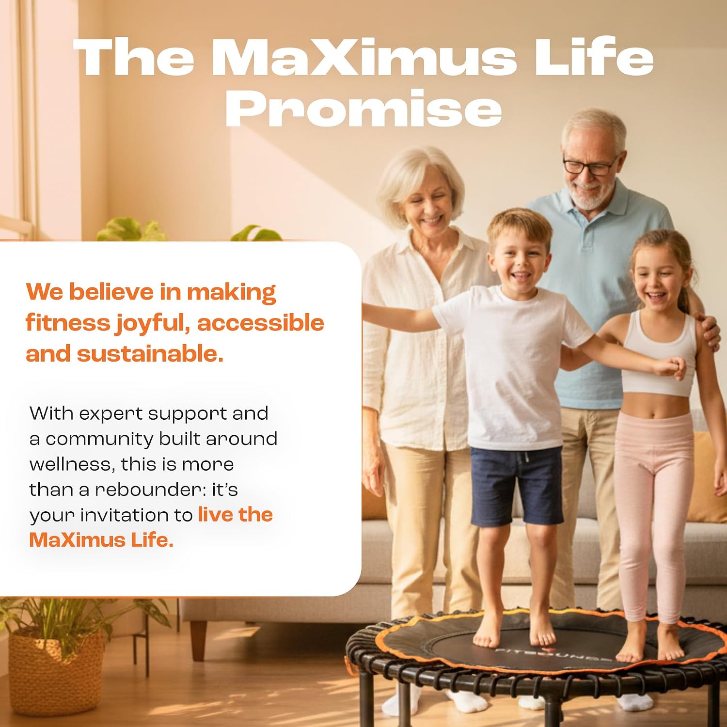 Thumbnail 6 de MaXimus Life FIT BOUNCE PRO XL Bungee Rebounder