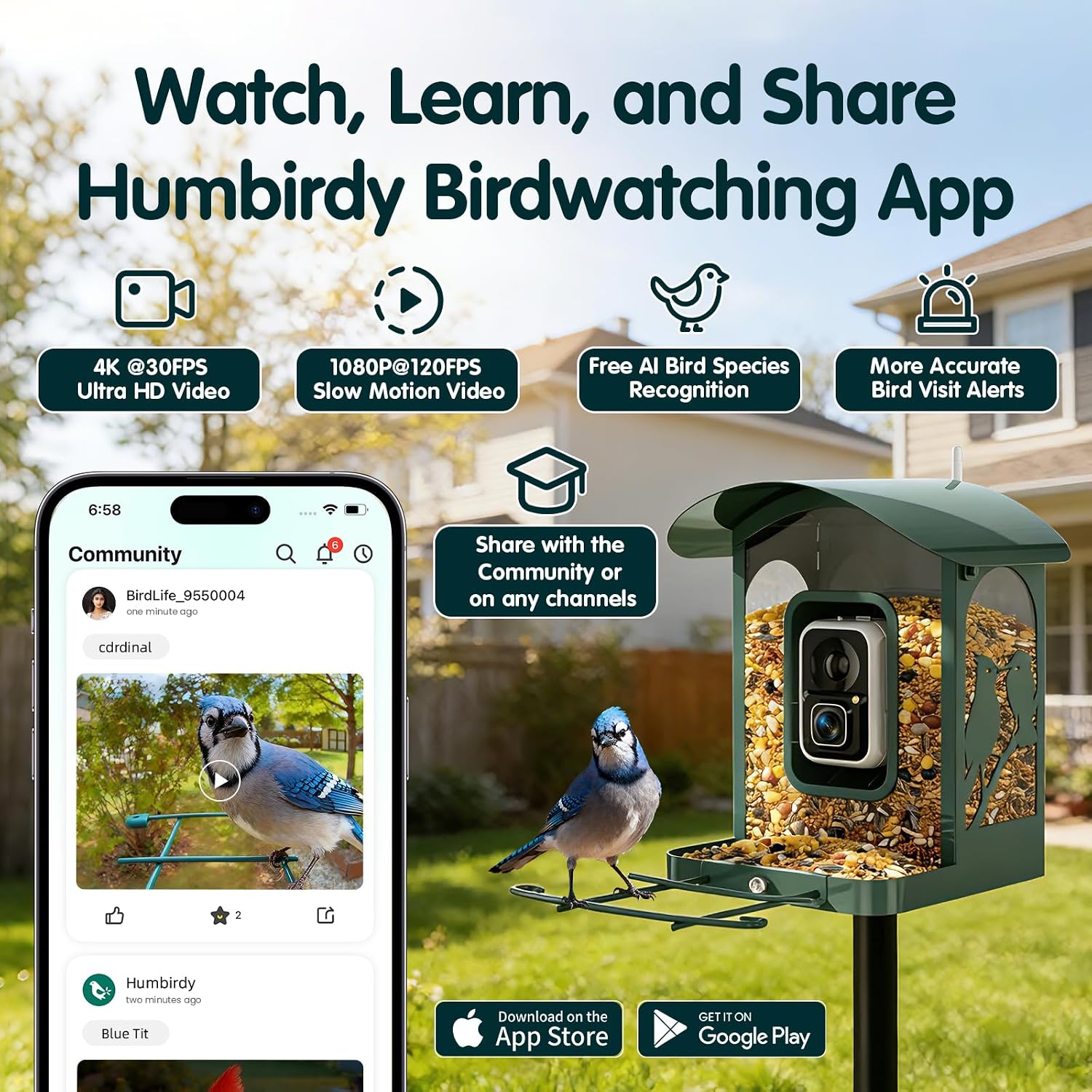Thumbnail 6 de Humbirdy SH66 4K Smart Bird Feeder Camera with Solar Power