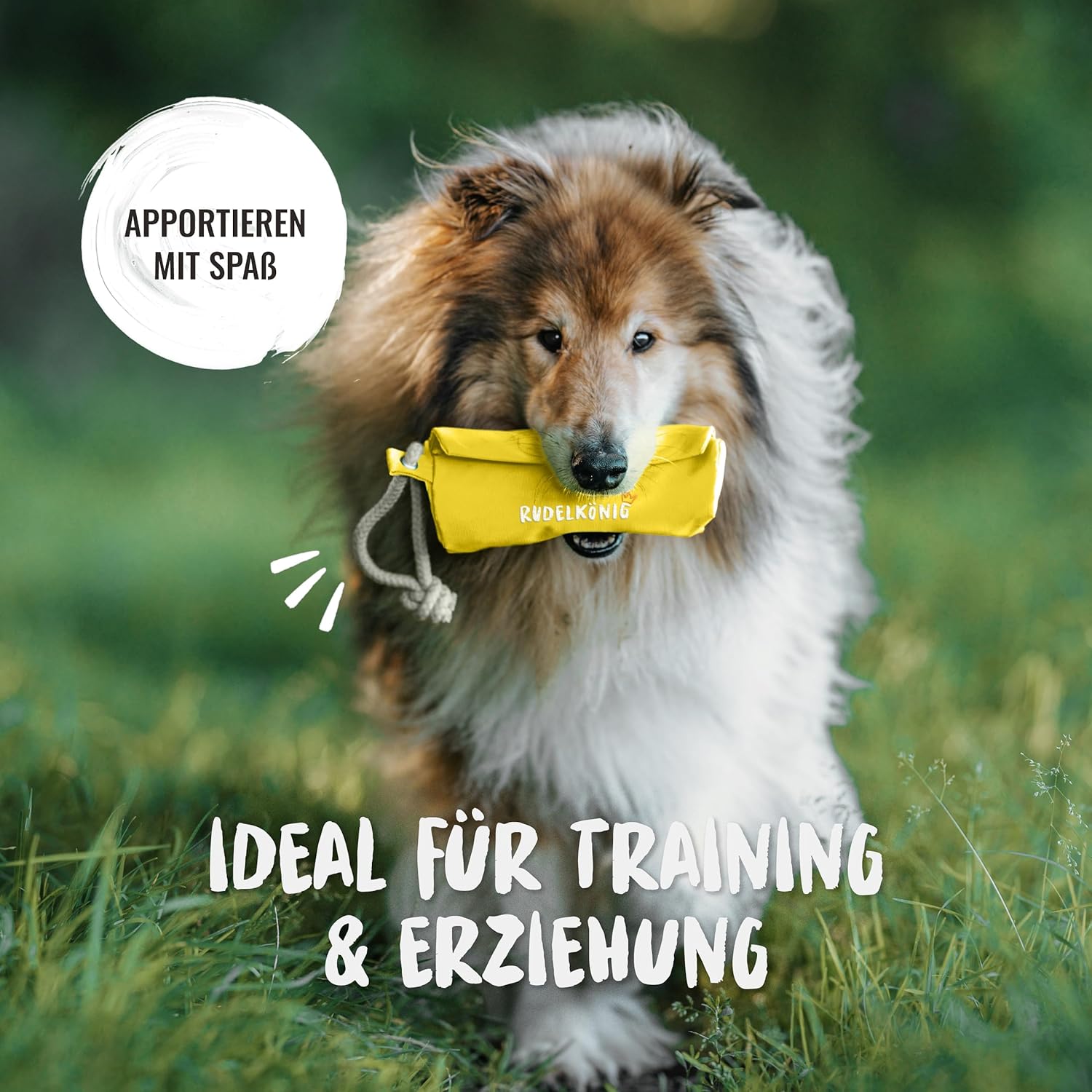 Detalle 2 de Rudelkönig Futterbeutel Hund Training