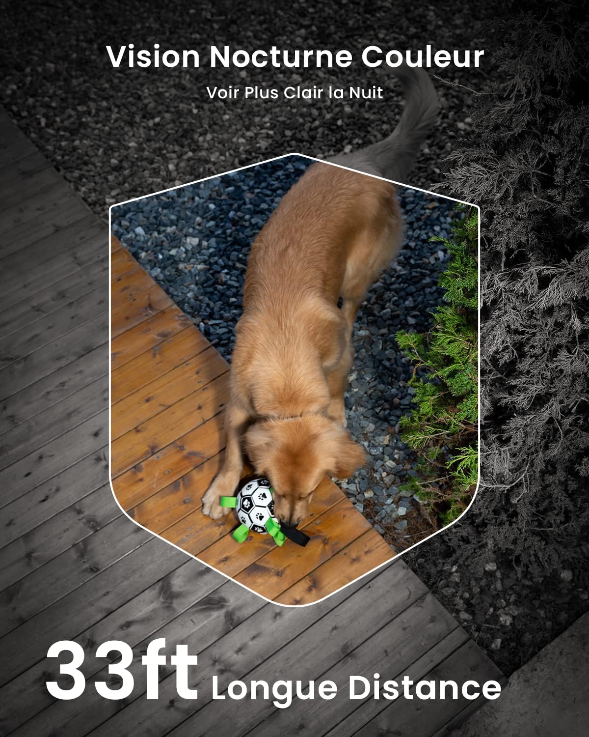 Detalle de ieGeek 2K Caméra Surveillance WiFi Extérieure sans Fil avec Batterie – Vision Nocturne Couleur, Détection AI & PIR, Audio Bidirectionnel, IP65