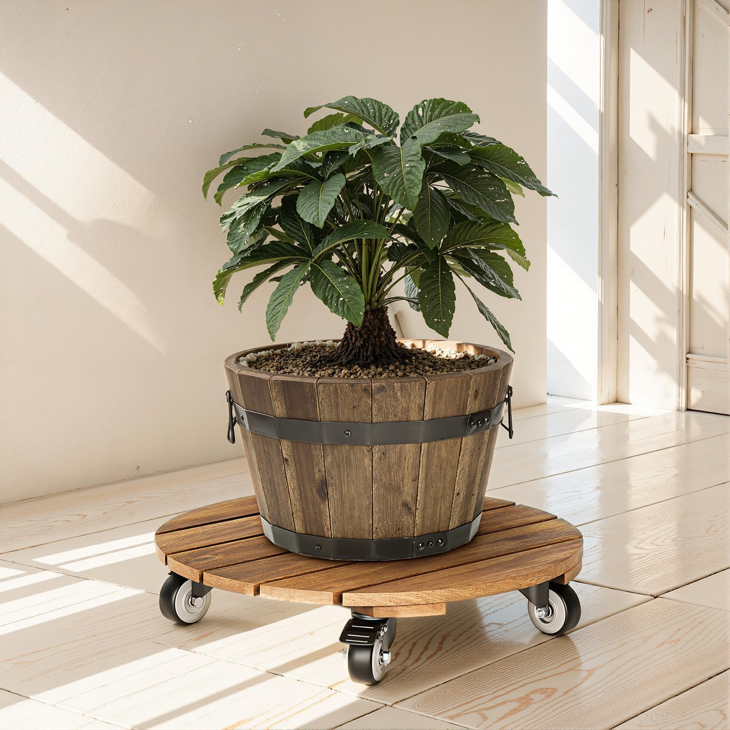 Thumbnail 6 de IDZO EDNV Acacia Wood Plant Caddy Set, 14-Inch, Locking 360° Wheels