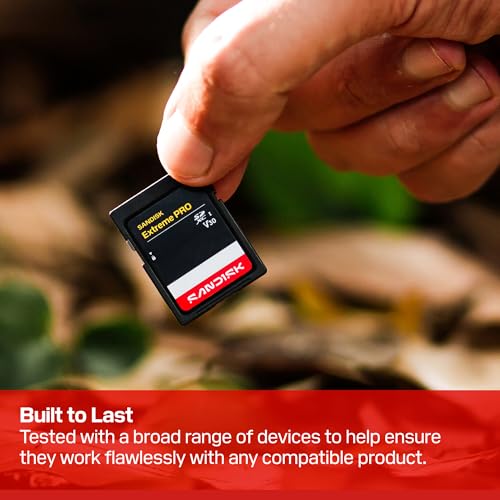Thumbnail 6 de Sandisk 256GB Extreme PRO SD UHS-I Card (SDSDXXJ-256G-GSCIN): Real-world Performance for 4K and High-Res Stills
