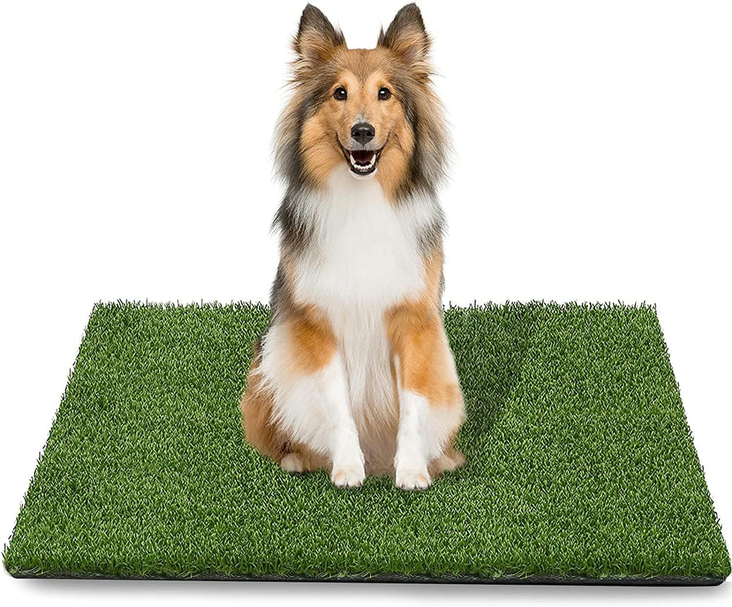 Thumbnail 5 de STARROAD-TIM 80x100cm Dog Grass Rug