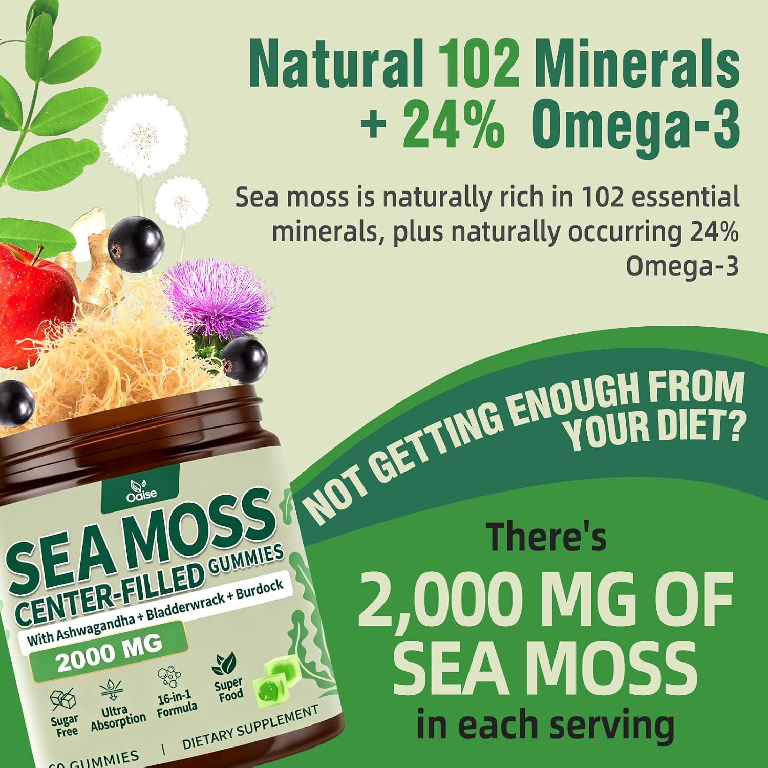 Detalle de OALSE Sea Moss Gummies, 2-Pack, Sugar-Free Apple Flavor with Bladderwrack