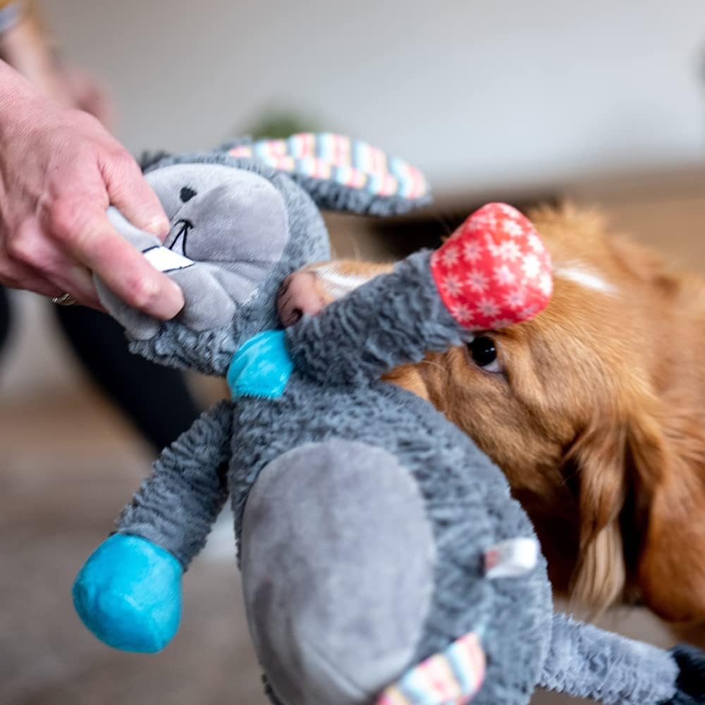 Thumbnail 1 de Nobby Peluche âne 56 cm — peluche à poils courts avec couineur