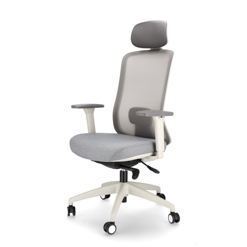 Thumbnail 1 de Spacio Ardena Silla ergonómica 1 cabezal gris