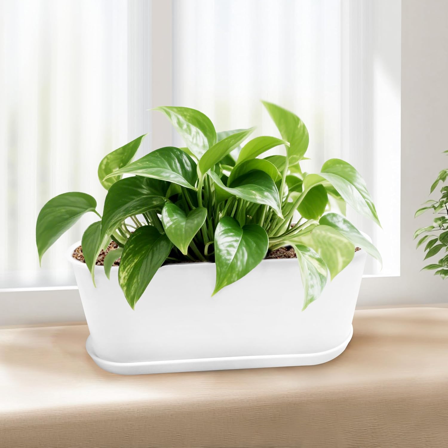 Detalle 1 de Torfican 8.5-Inch Window Box Planters, 5-Pack White Plastic Pots