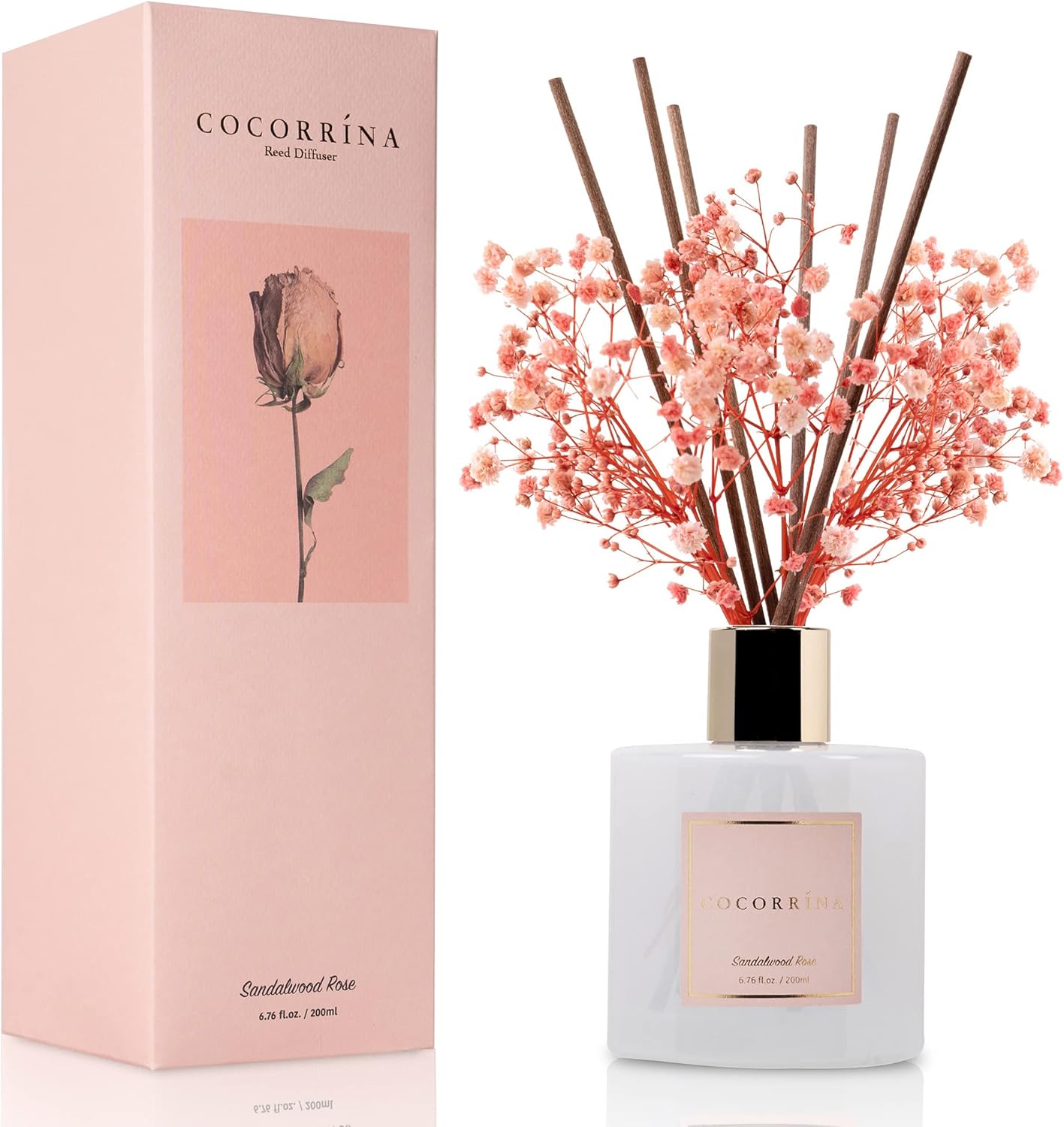 Cocorrína Premium Reed Diffuser Set with Preserved Baby's Breath & Cotton Sticks – Sandalwood Rose, 6.7 oz