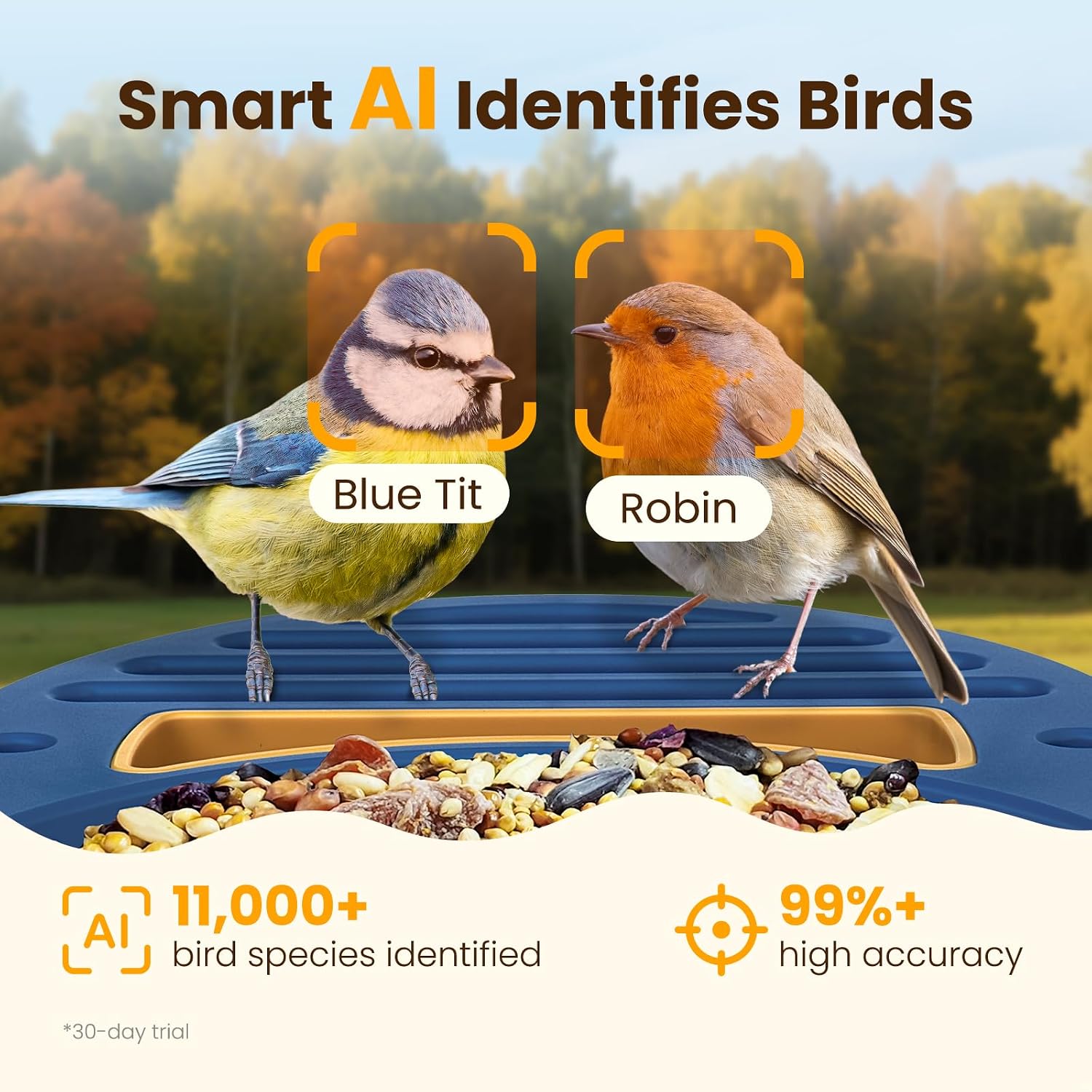 Detalle de 2.5K UHD Bird Feeder Camera Solar Powered with AI Identification, IP66 Outdoor Smart Feeder (Blue)