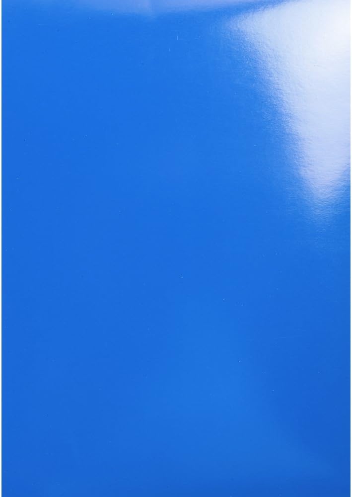 Detalle de Exacompta 2980C – Paquet de 100 plats en carte A4, 230 g/m², effet miroir, 1 face brillante et 1 face mate, blanc