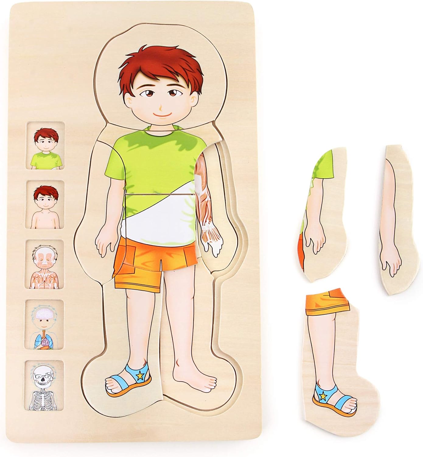 Detalle 2 de Small Foot Company Anatomia Ragazzo puzzle in legno con 29 pezzi (2019618)