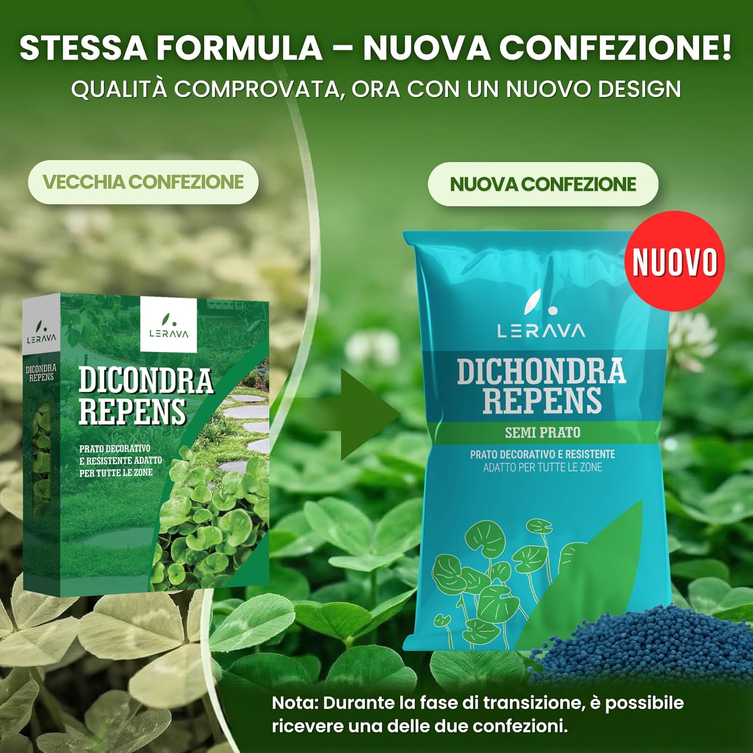 Thumbnail 2 de LERAVA Dicondra semi (20m²) - Non richiede taglio, resiste alla siccità