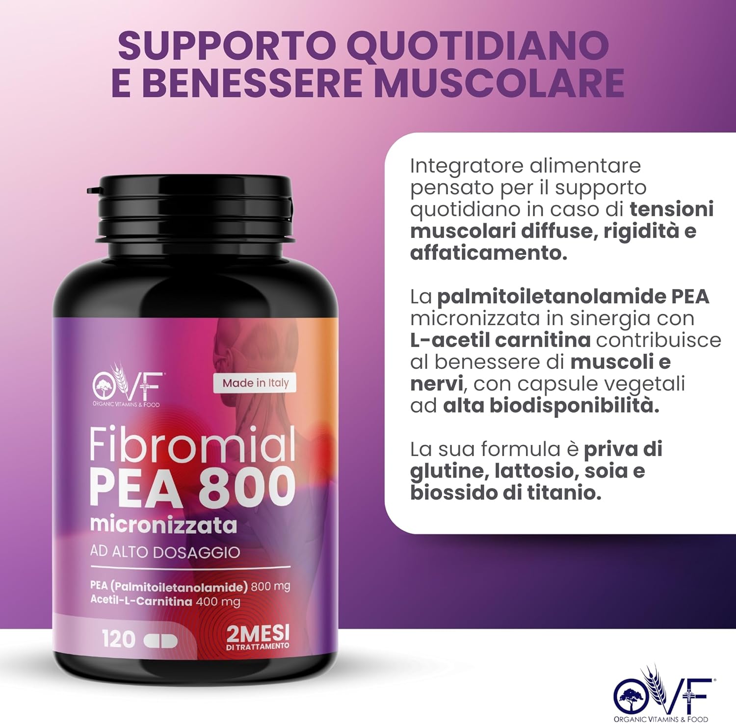 Detalle 2 de OVF Fibromial PEA 800 120cps – Integrazione naturale per benessere di nervi e muscoli