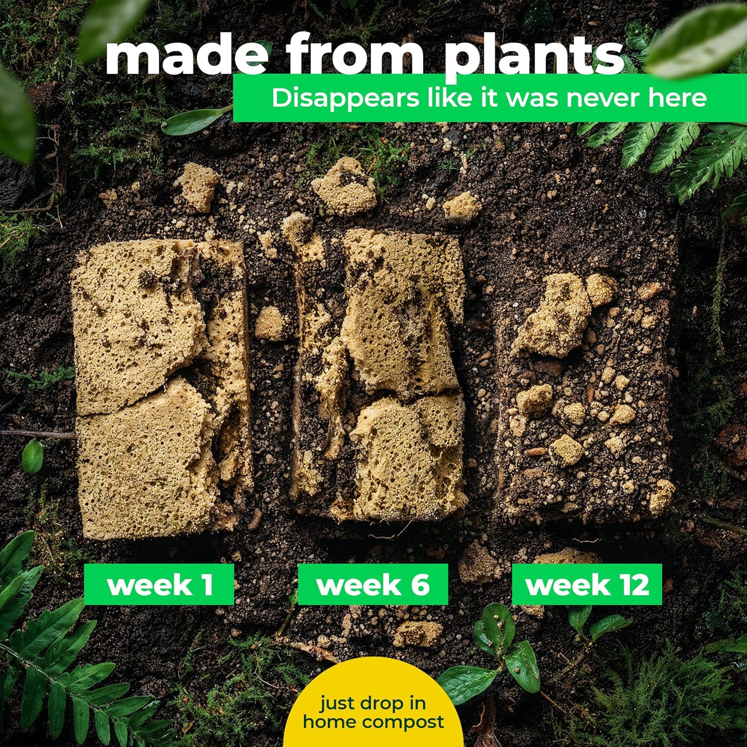 Thumbnail 4 de bioGo 12 Pack Biodegradable Sponges