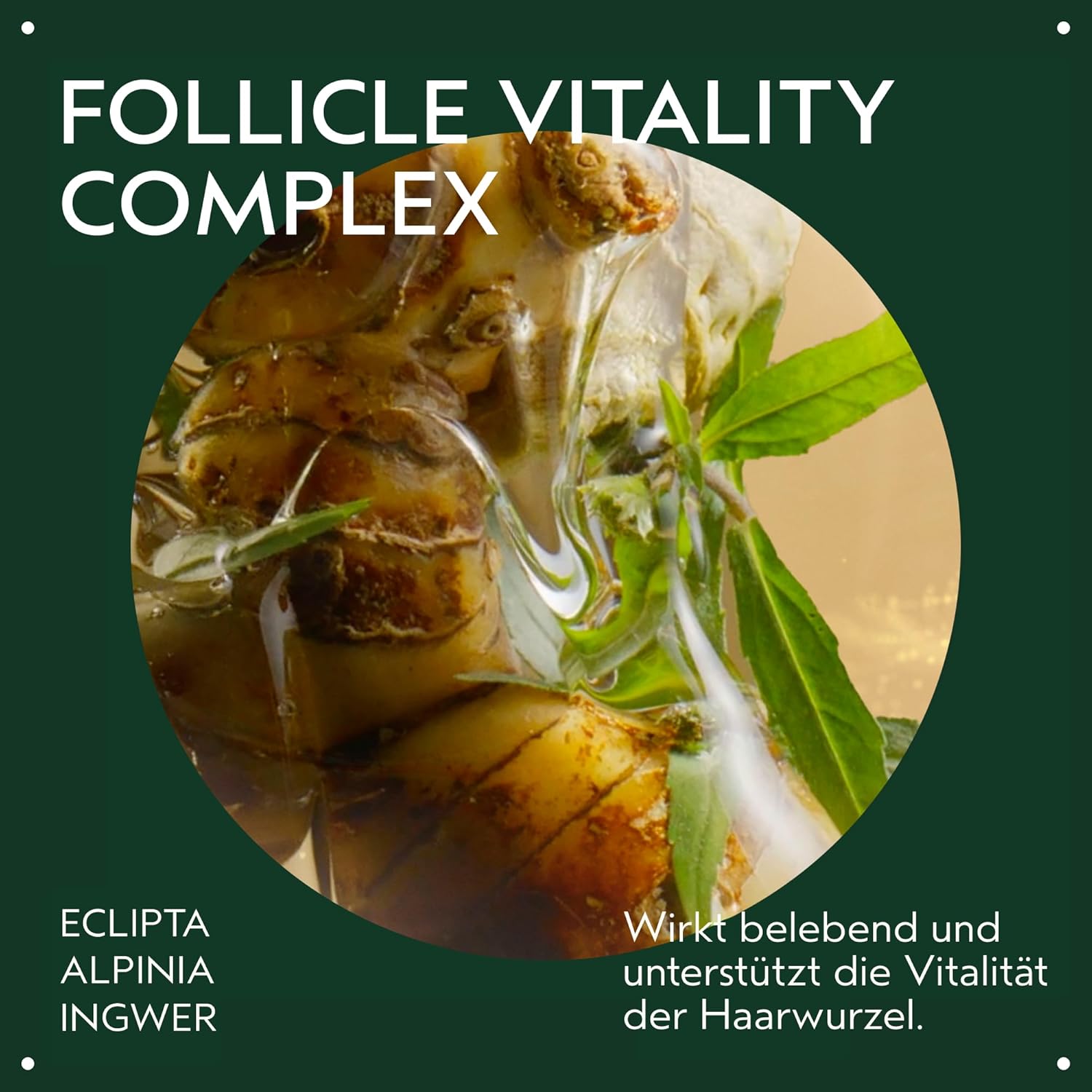 Detalle de Aveda Invati Ultra Advanced Revitalisierendes Kopfhaut-Serum – Stufe 3 von 4, 150 ml