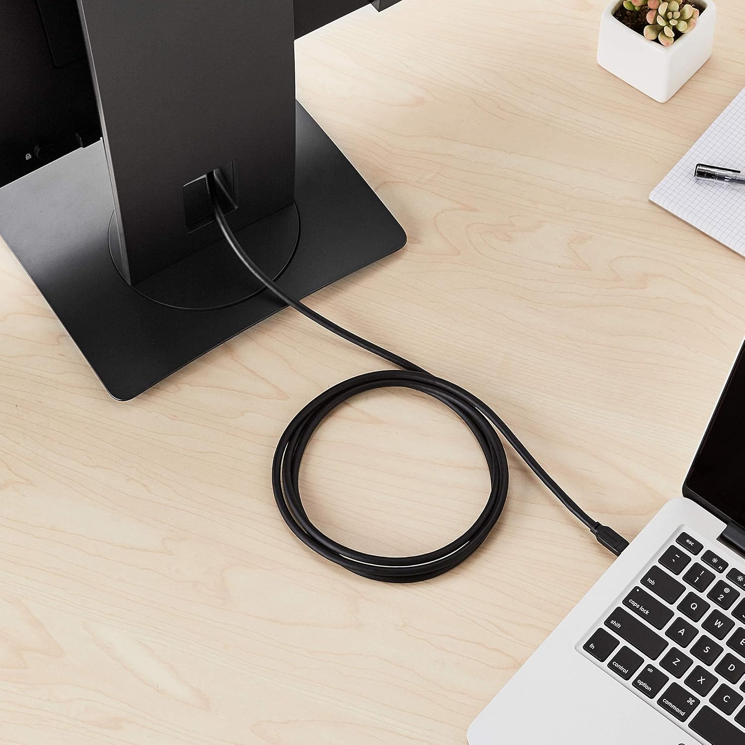 Detalle 2 de Amazon Basics Câble Mini DisplayPort vers DisplayPort – 1,8 m, Noir