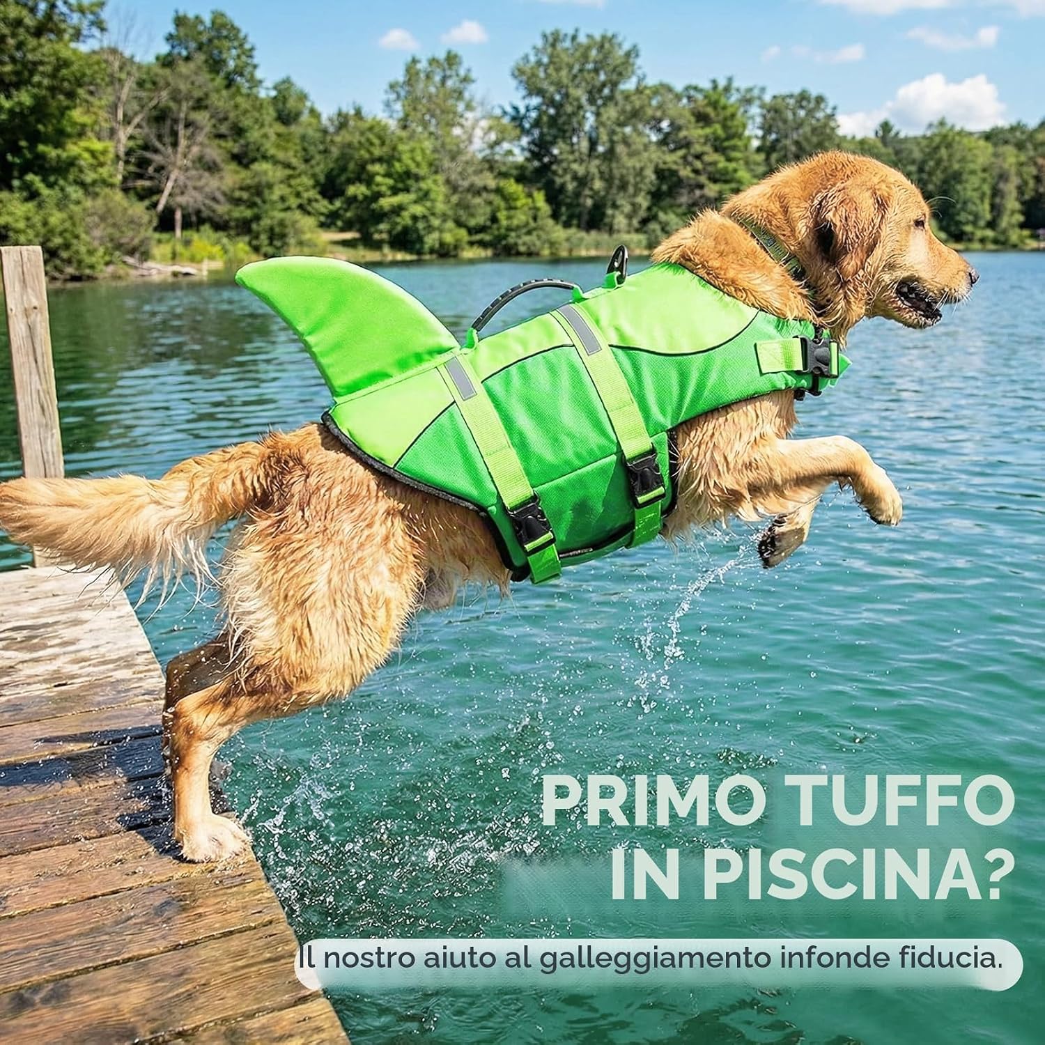 Detalle 2 de ASENKU Giubbotto Salvagente per Cani: sicurezza, supporto e visibilità per ogni avventura acquatica