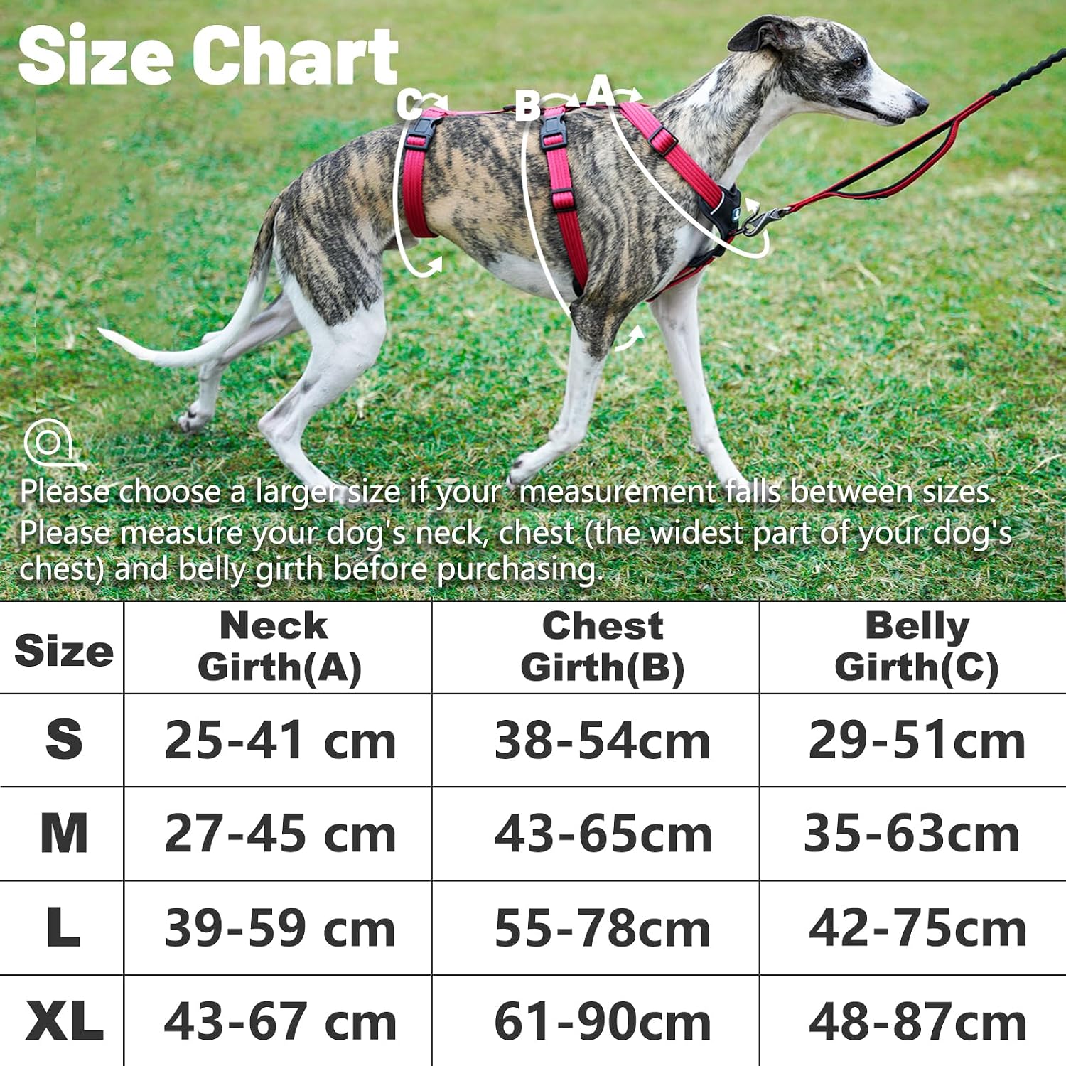 Detalle de Paworld Escape Proof Dog Harness (XL) – 3-Point Greyhound Harness with Front Clip for Whippet and Large Breeds