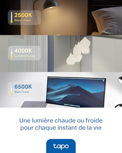 Detalle 2 de Tapo Ampoule Connectée Alexa E14, Multicolore LED Dimmable L430P