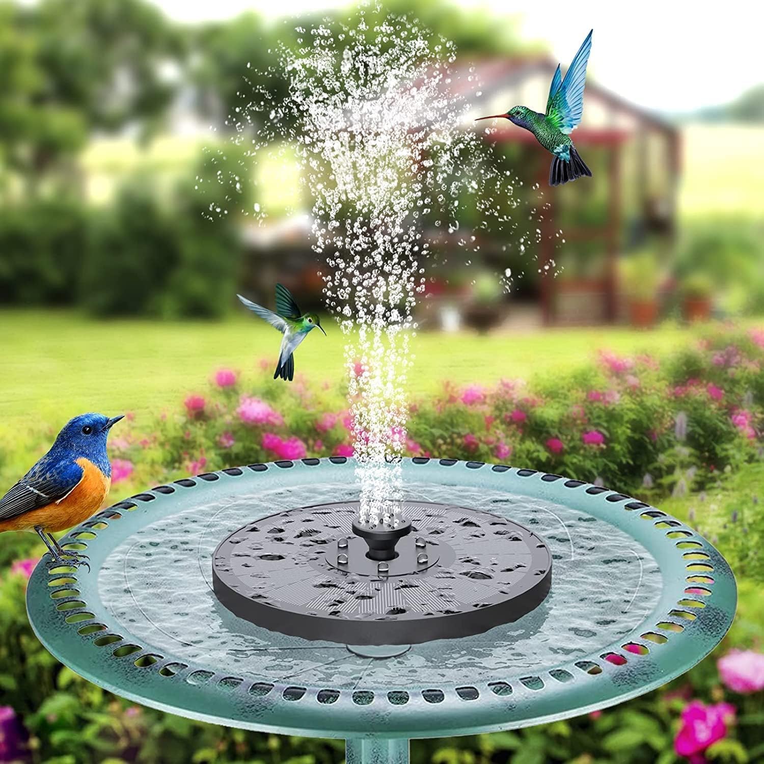 Detalle de Solar Fountain Mini: Solar Powered Water Pump for Ponds, Bird Baths and Gardens