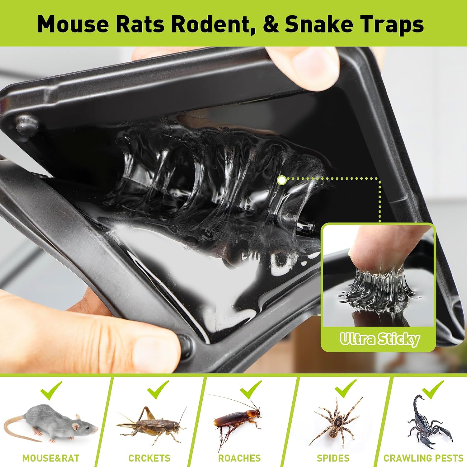 Detalle 2 de Pelrayt sq-123 Glue Mouse Traps, 12-Pack, Peanut Butter Scented
