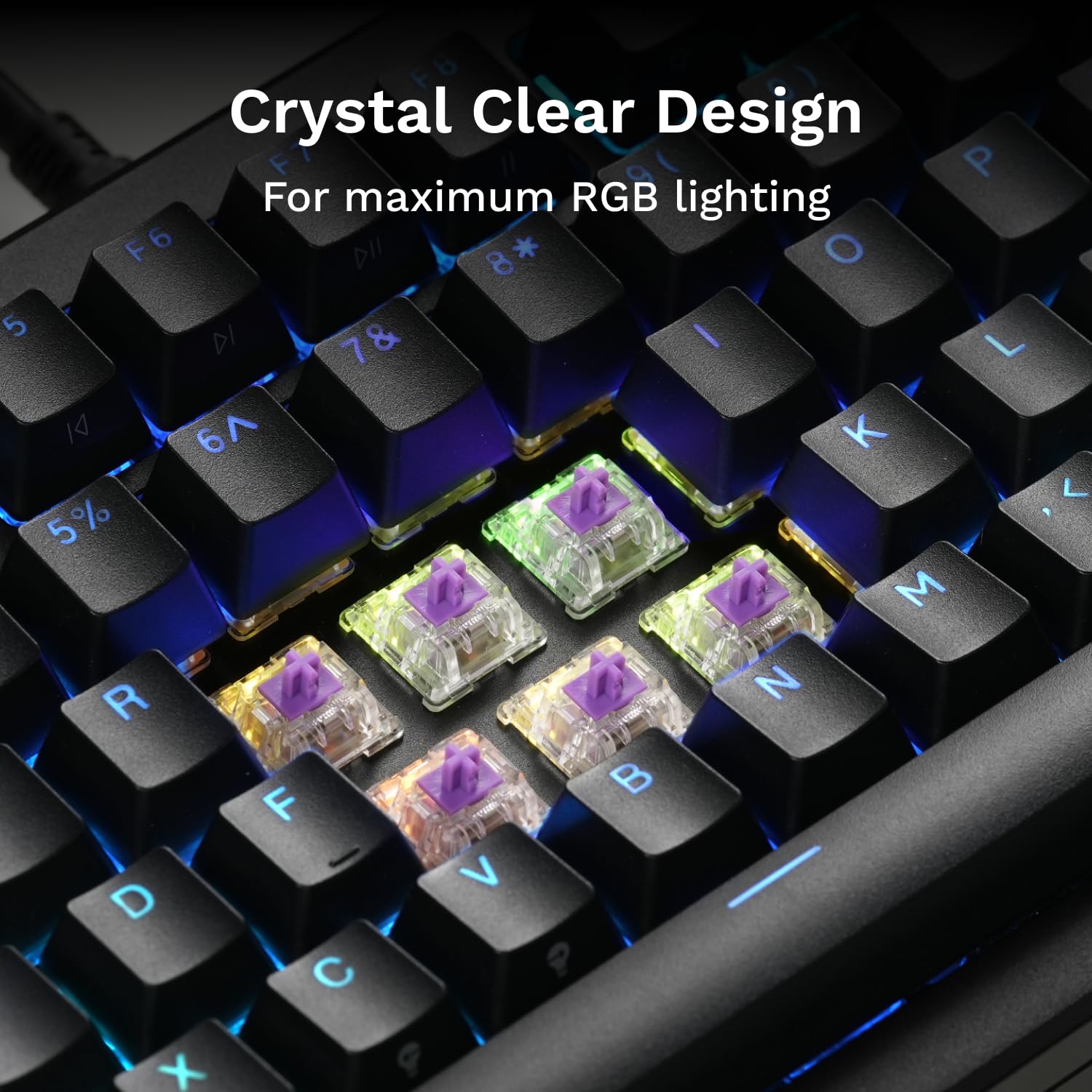Detalle 2 de Glorious Gaming Mako Switches (110 PCS): Tactile, Pre-Lubed 5‑pin Hot-Swap Compatibility