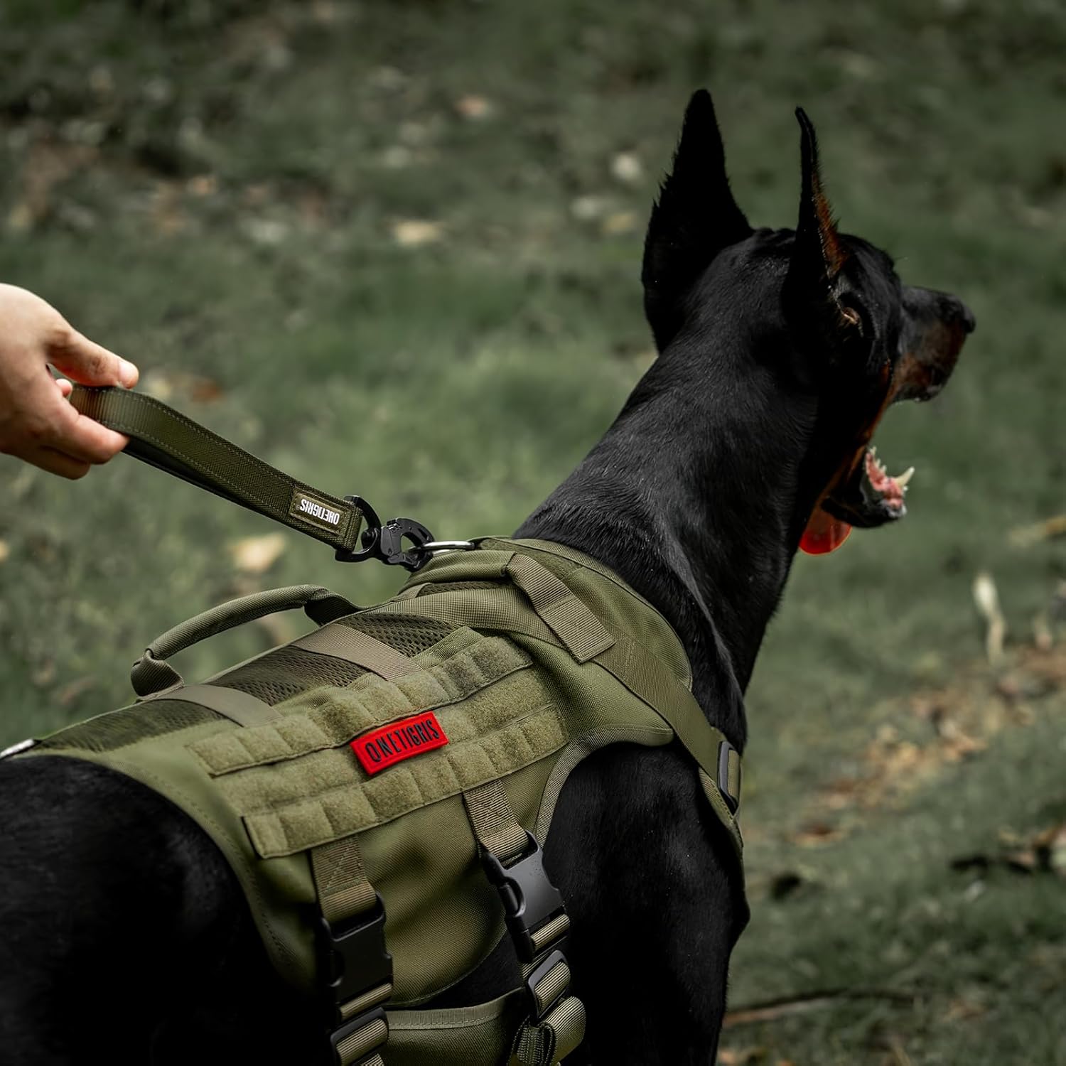 Detalle de OneTigris Bolt: Guinzaglio corto da 30 cm per cani di taglia media, con clip in metallo a forma di tigre e imbottitura, riflettente, verde