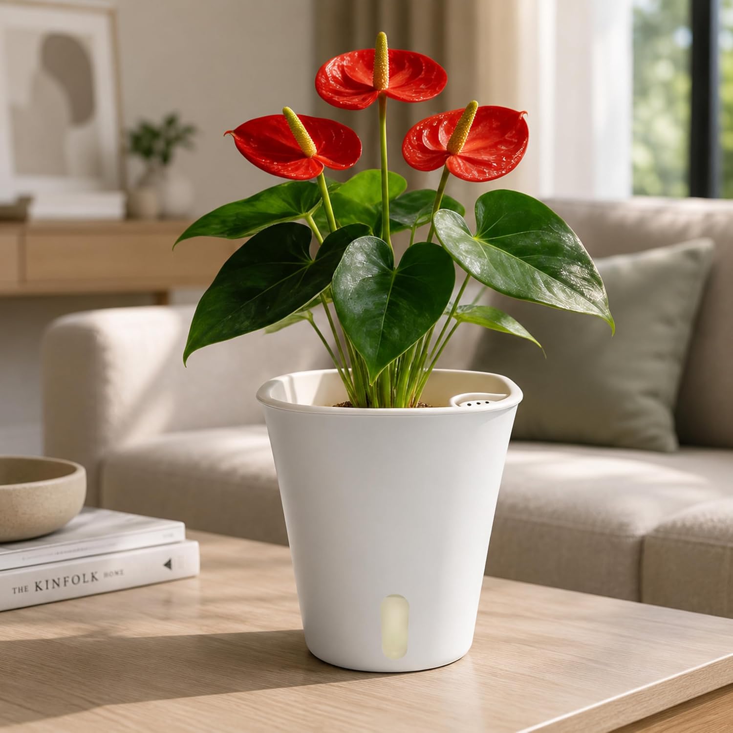 Thumbnail 6 de SYITCUN self watering pots, 5-inch indoor planters with water-level windows