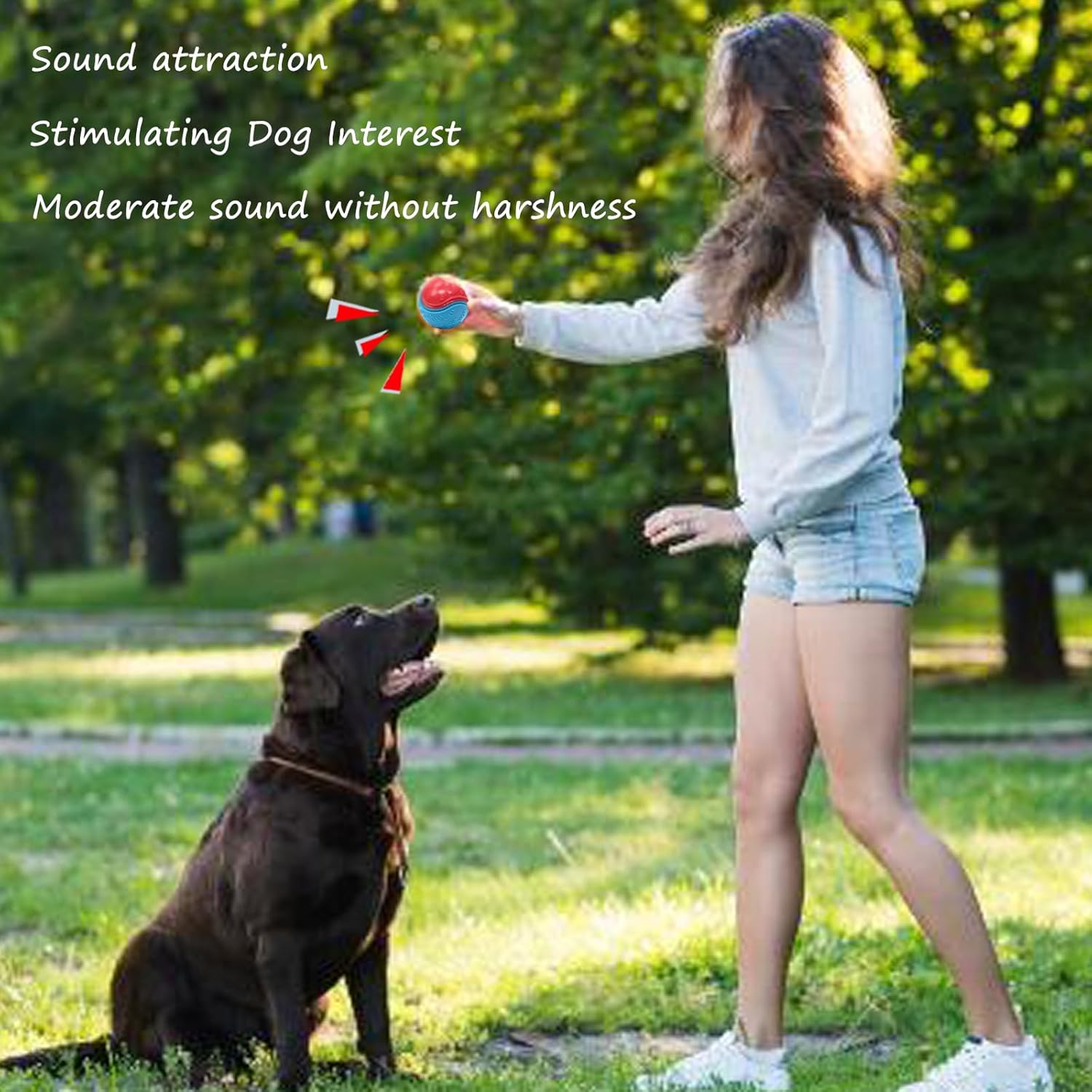 Thumbnail 2 de Irunfast 6Pcs Dog Balls 6.5cm Interactive Squeaky Pack