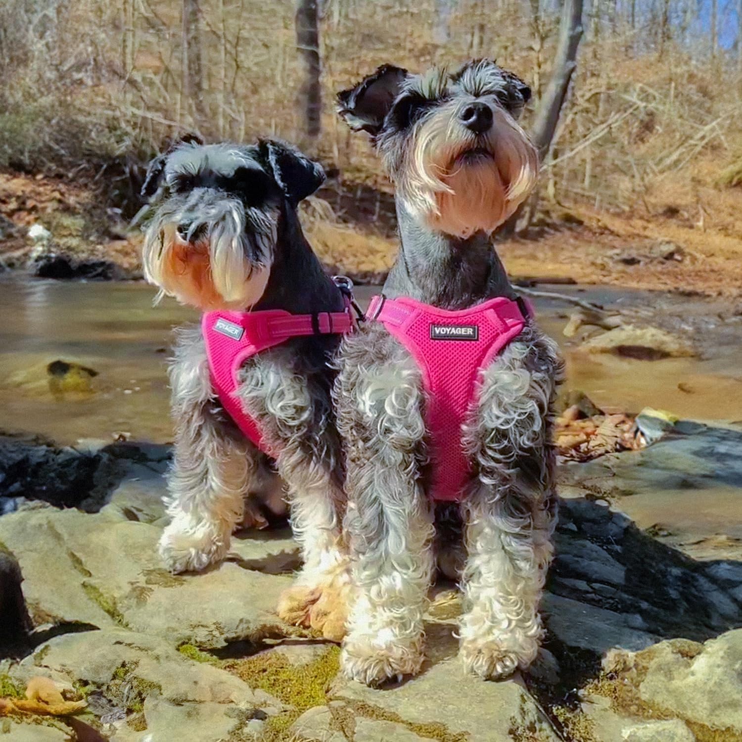Thumbnail 6 de Voyager Dog Harness Large