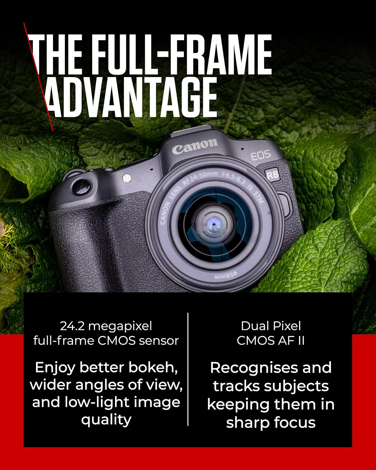 Detalle 2 de Canon EOS R8 24.2 MP full‑frame mirrorless camera