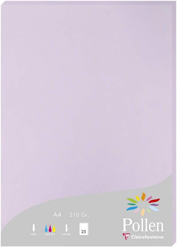 Thumbnail 6 de Clairefontaine 4199C Silver Iridescent Pollen Paper Wallet (A4, 50 sheets)
