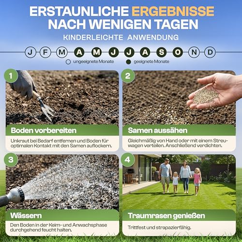 Detalle de HELGENWERK Rasensamen schnellkeimend Sommer 0,5kg – ideal für Neuanlage oder Nachsaat