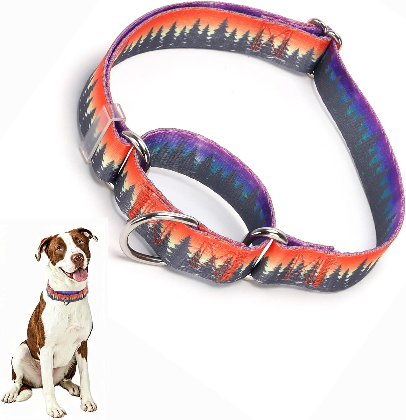 Detalle de Martingale Dog Collar, Nylon