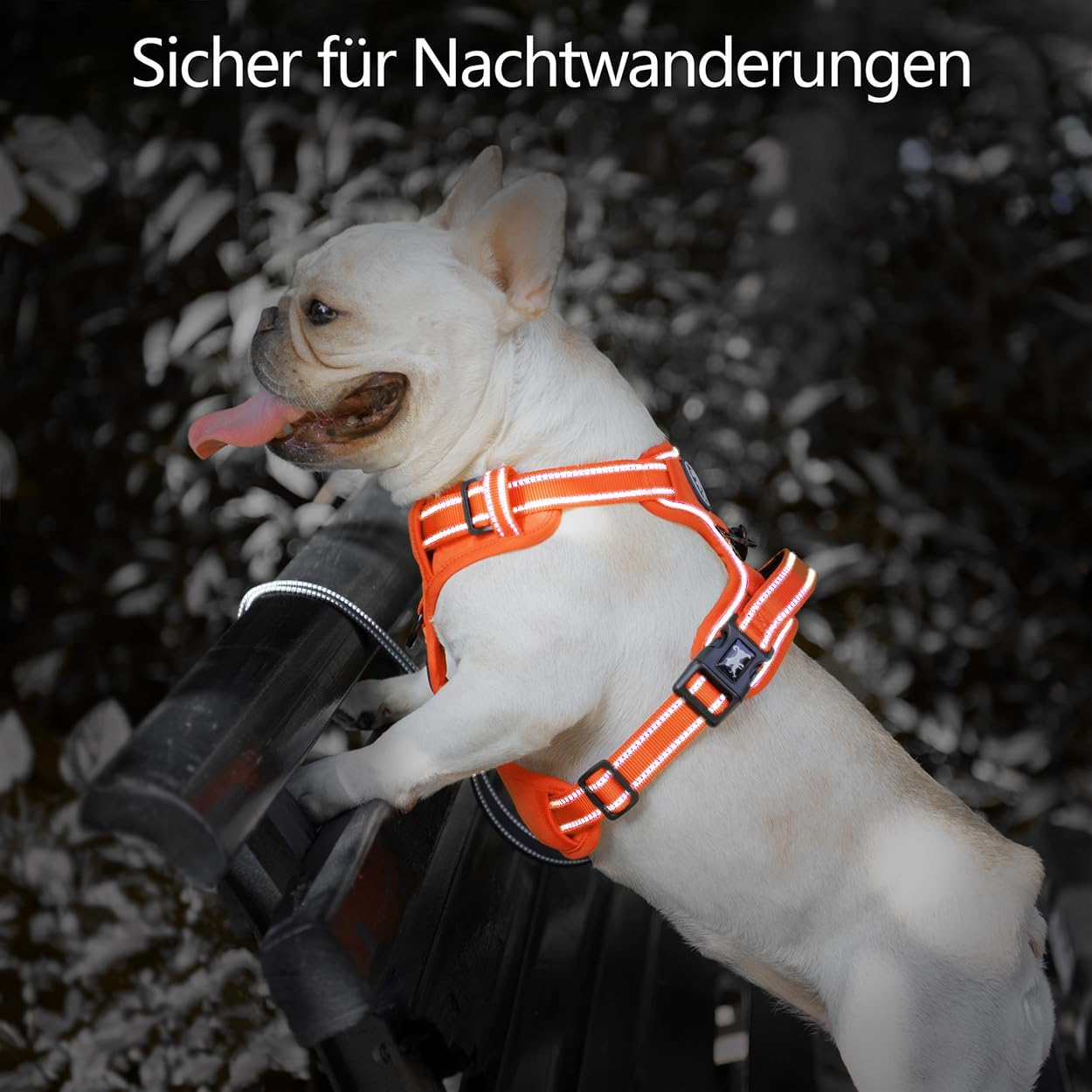 Thumbnail 6 de PoyPet Keine Pull Hundegeschirr mit reflektierender Weste, Easy Control-Griff und 4-fach verstellbaren Riemen (Orange, M)