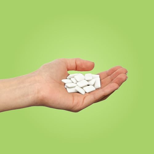 Detalle de PUR Gum Kaugummi mit Xylit 55 Stück 🍬