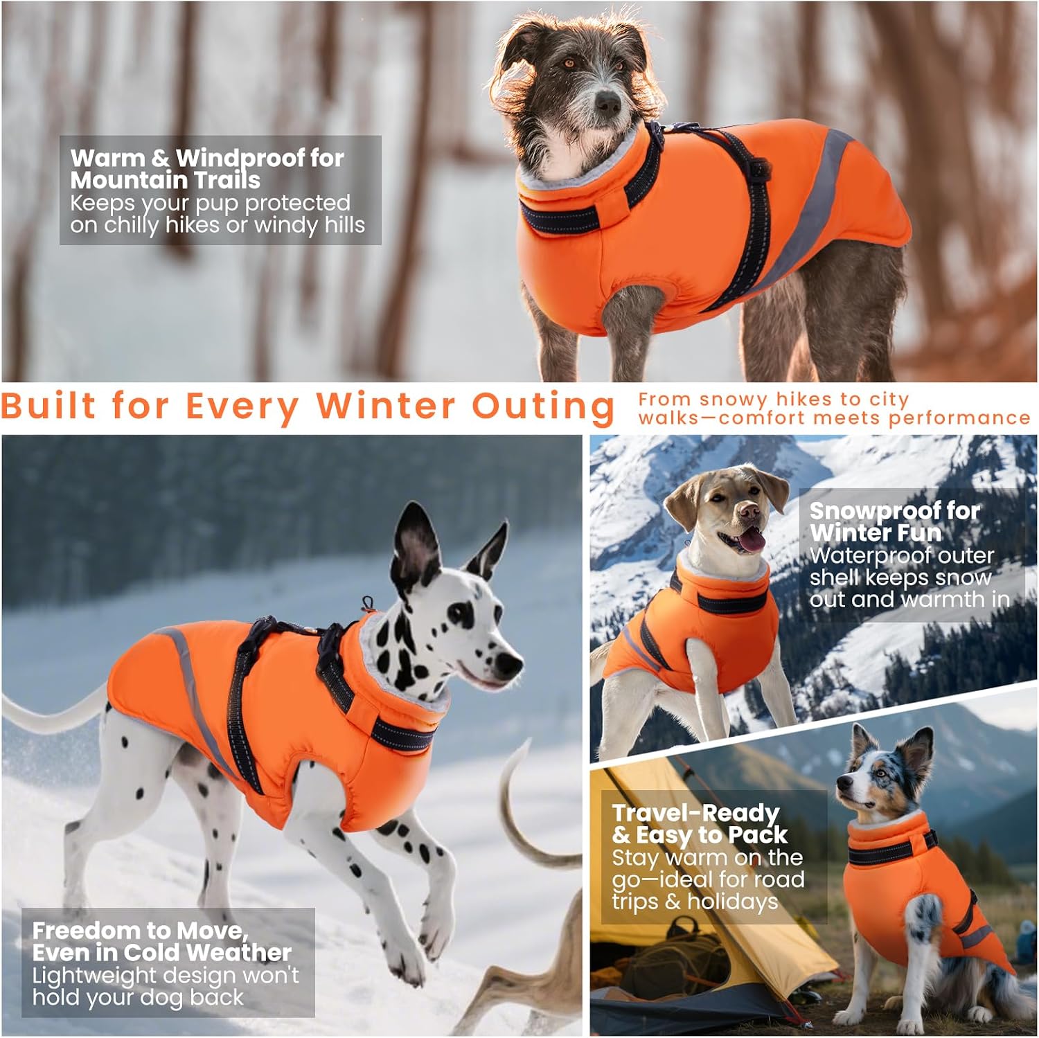 Detalle 2 de QBLEEV Dog Winter Coat, L