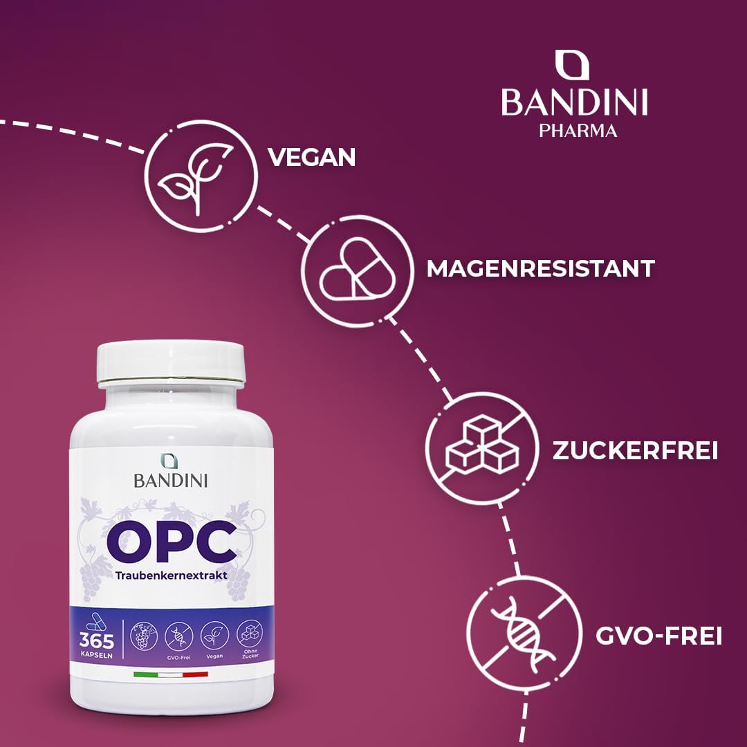 Thumbnail 2 de Bandini OPC Traubenkernextrakt 365 Kapseln mit 1076 mg Dosierung 💊