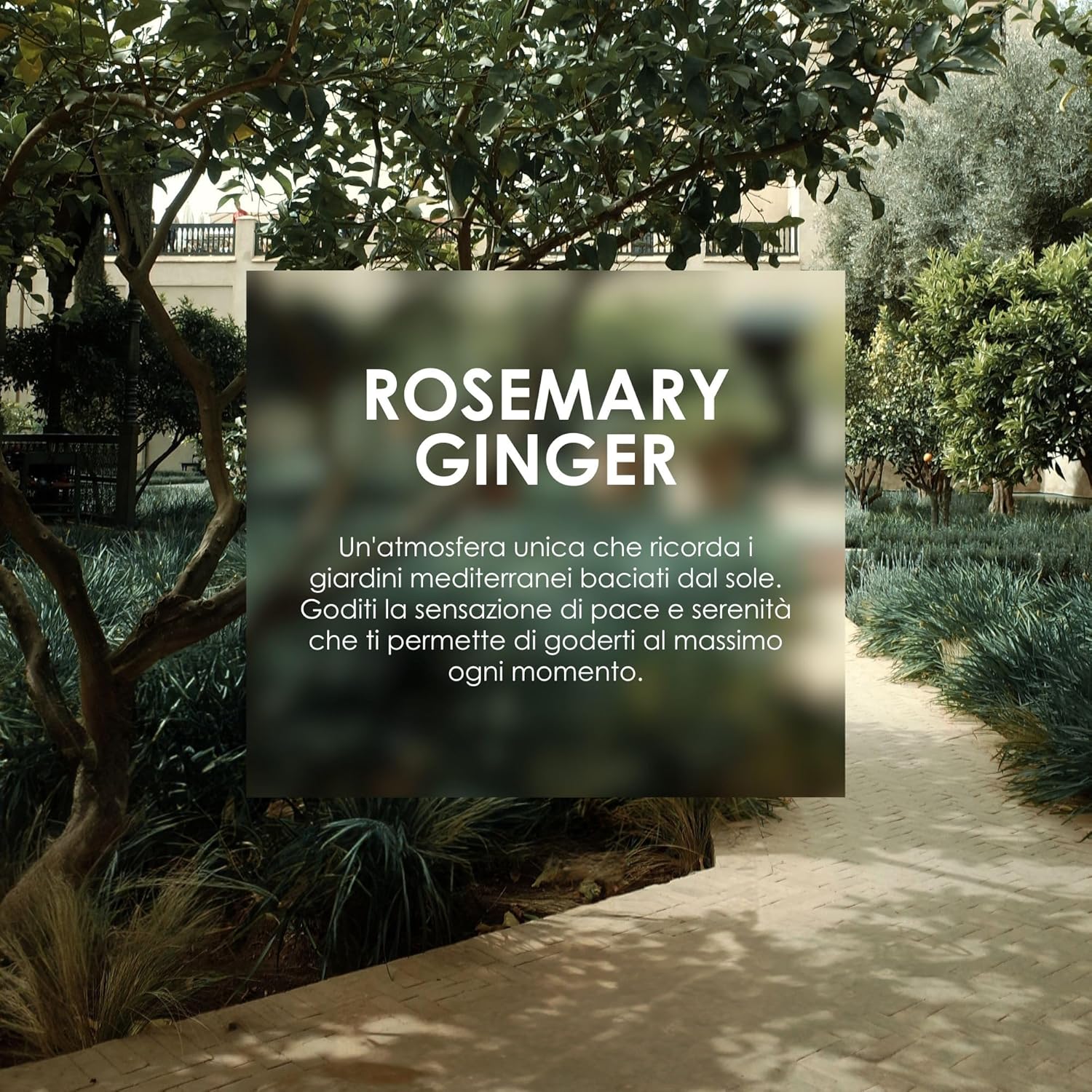 Detalle de Jean & Len Detergente Corpo e Mani Rosemary & Ginger 500 ml