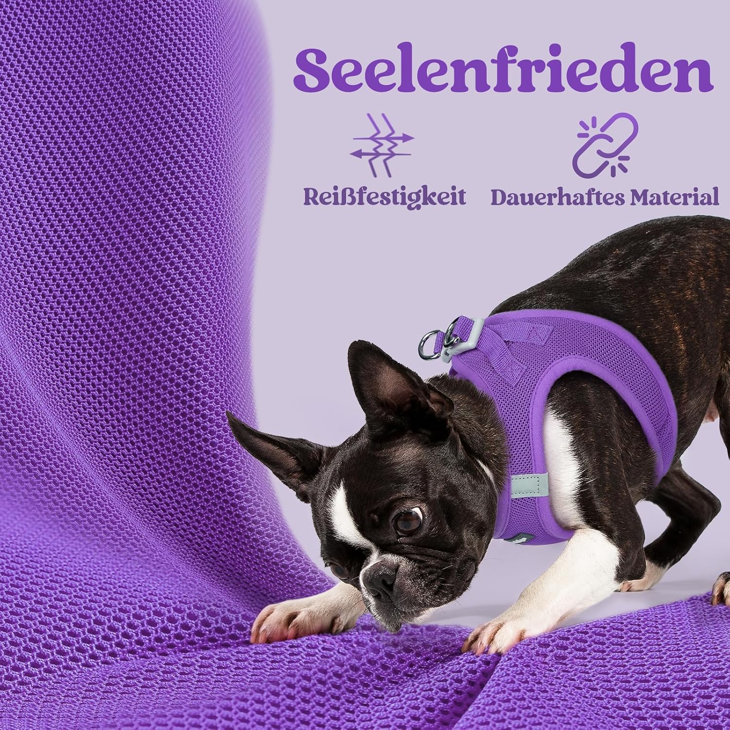 Thumbnail 6 de rabbitgoo Hundegeschirr Kleine Hunde XS – Schritt-in Mesh-Geschirr mit Reflektivität (Lila)
