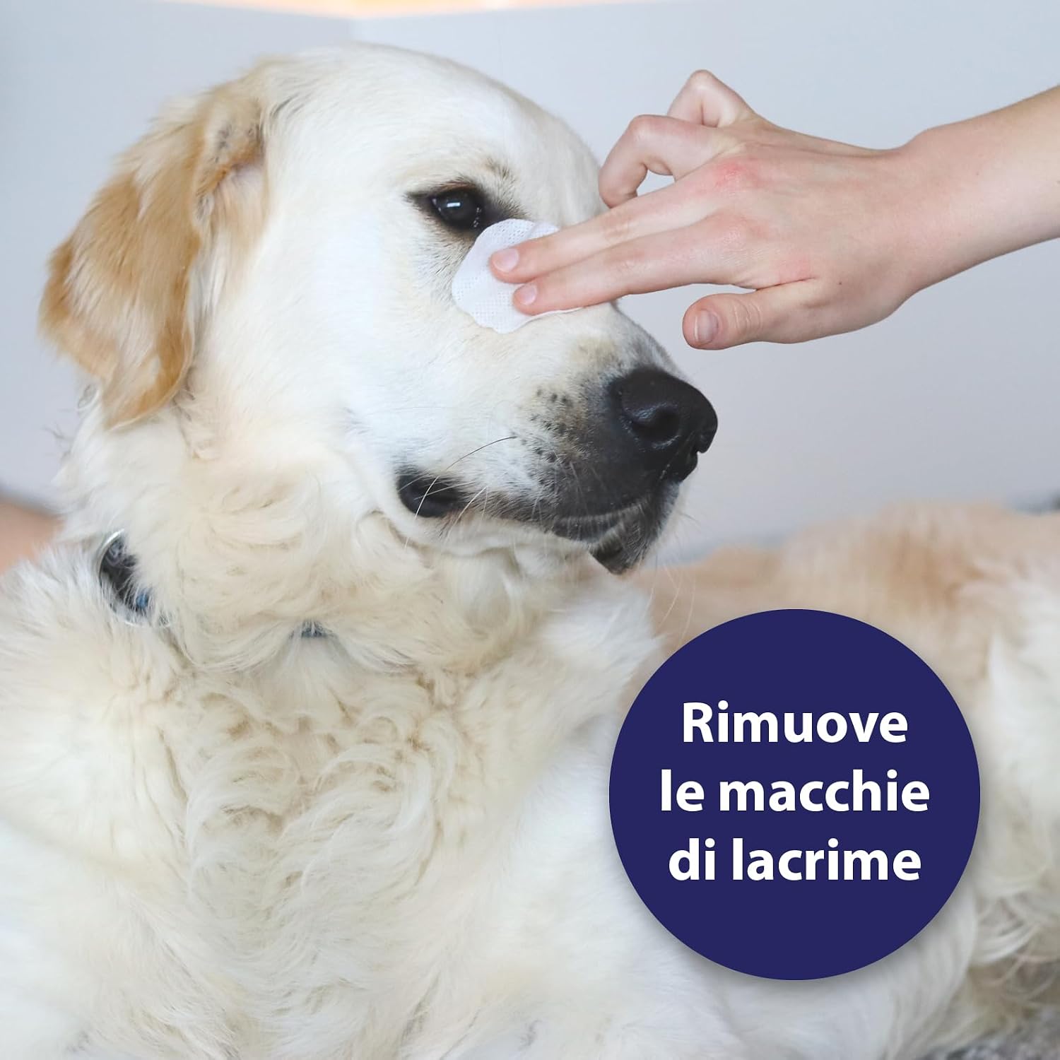 Detalle de Canosept Cura Occhi per Cani 120 ml – Detergente delicato per contorno occhi, rimuove lacrime e impurità
