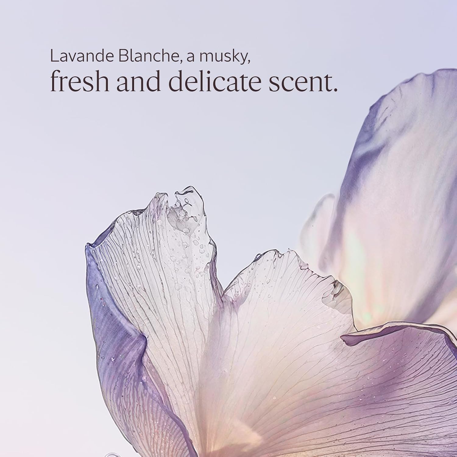 Thumbnail 2 de L'Occitane Hand Cream – Hydrating, light texture with White Lavender scent