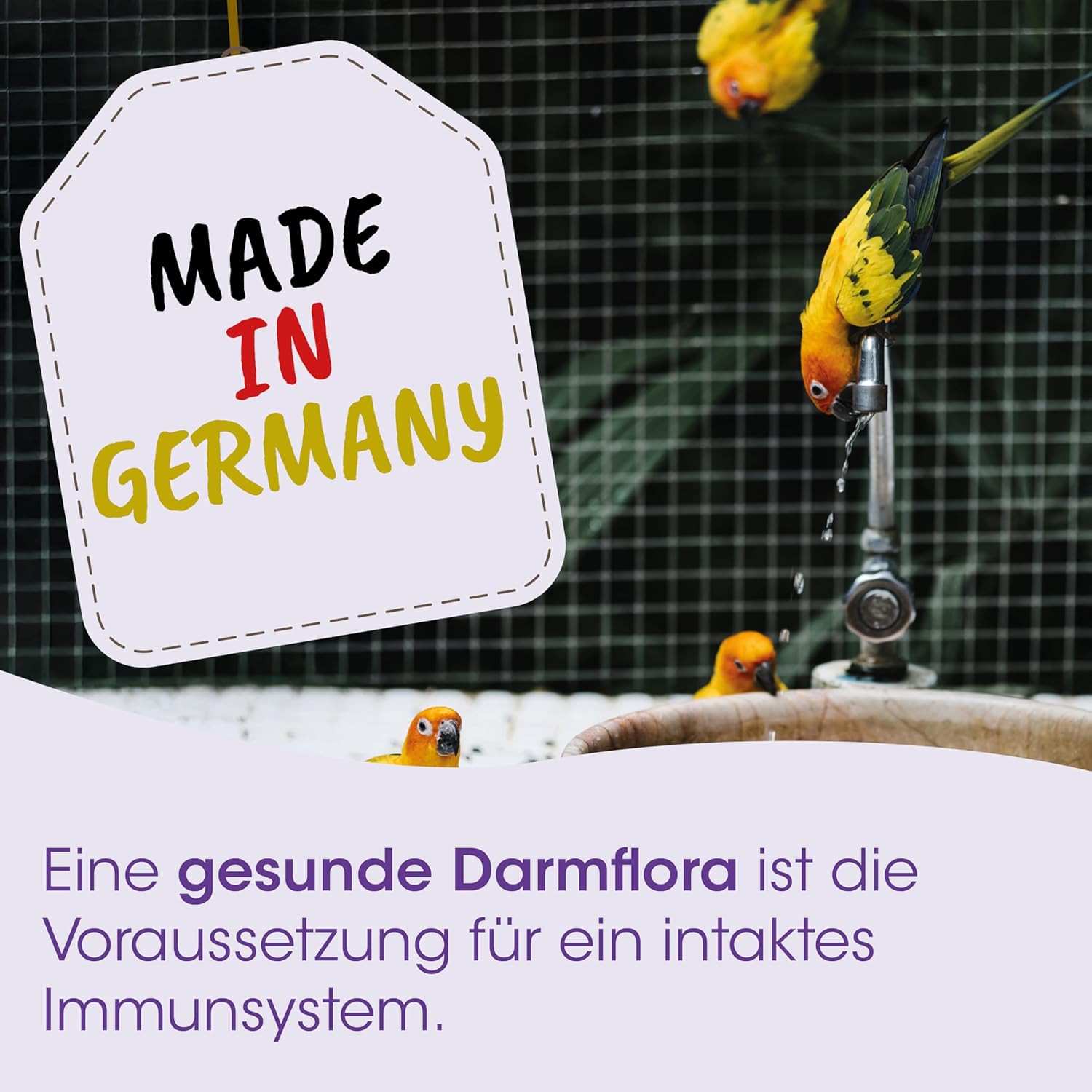 Detalle de cdVet DarmRein 100ml – Ergänzungsfuttermittel für Ziervögel & Exoten mit natürlichen Kräuterextrakten