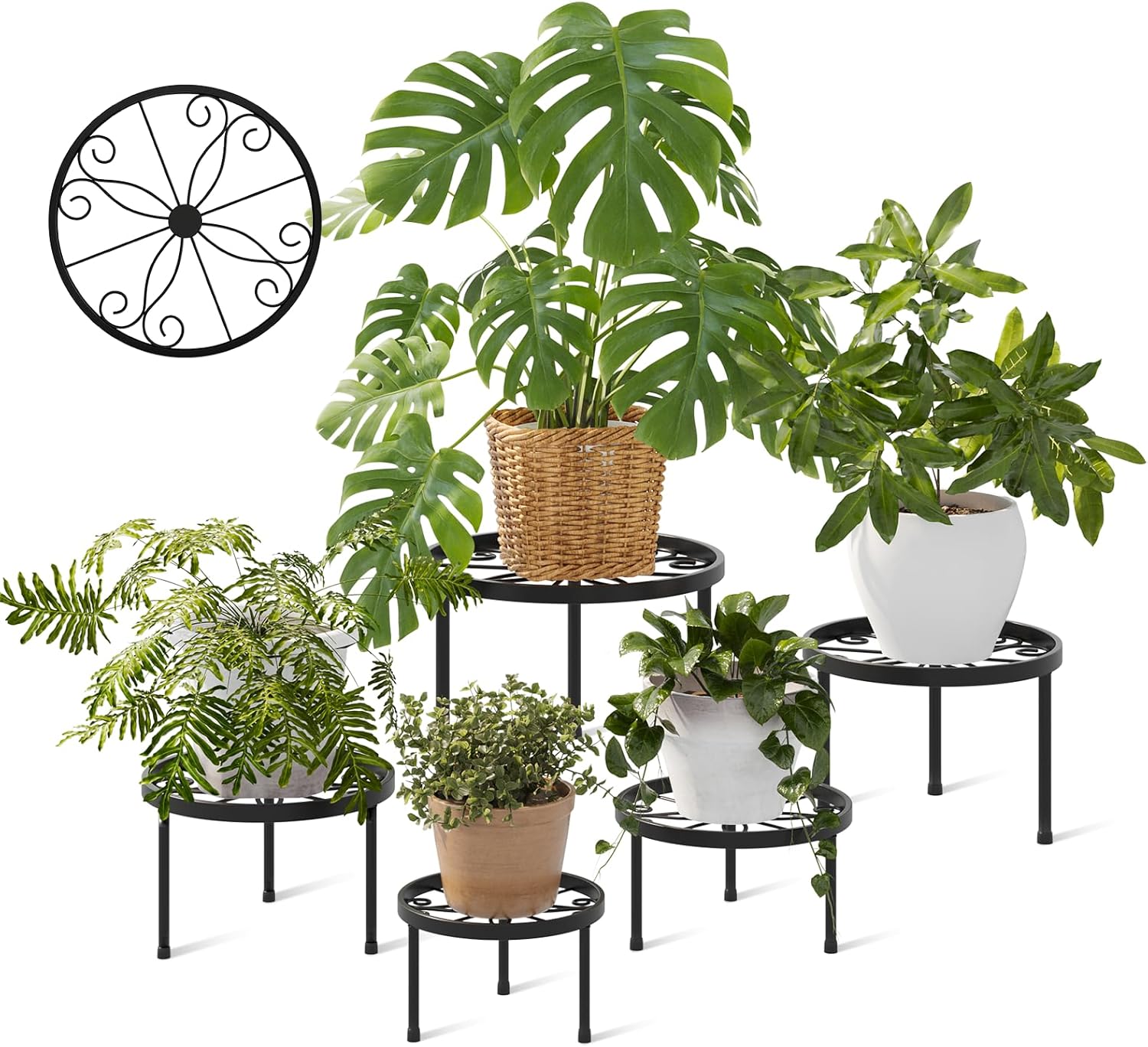 Bamworld soportes para flores 5 piezas