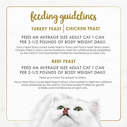 Thumbnail 6 de Purina Fancy Feast Gravy Lovers: Poultry & Beef Wet Cat Food (3oz, 24-Pack)