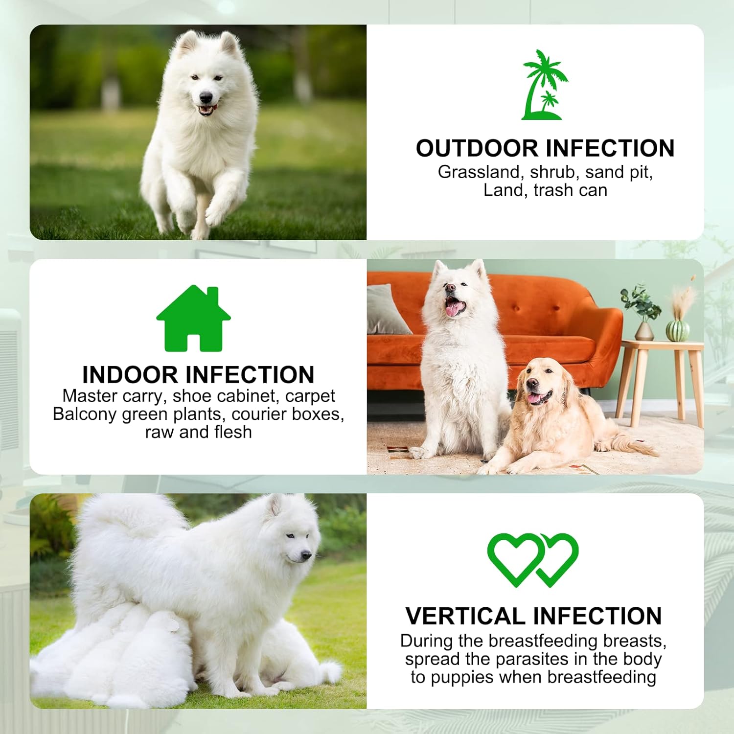 Detalle 2 de Natural Prevention for Dogs 150 soft chews