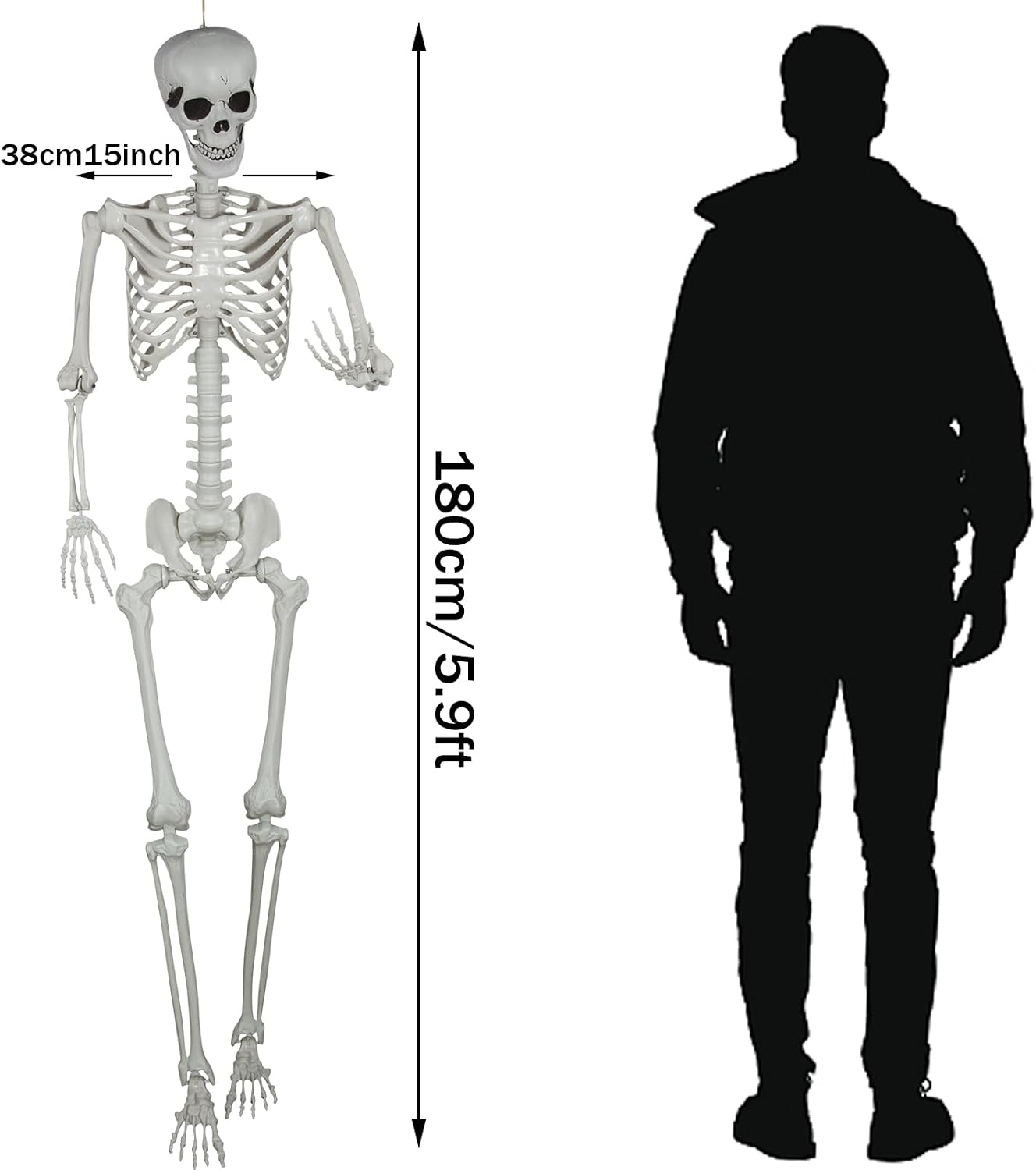 Detalle 2 de XONOR 180cm-GJZ Life-Size Plastic Skeleton with Movable Joints