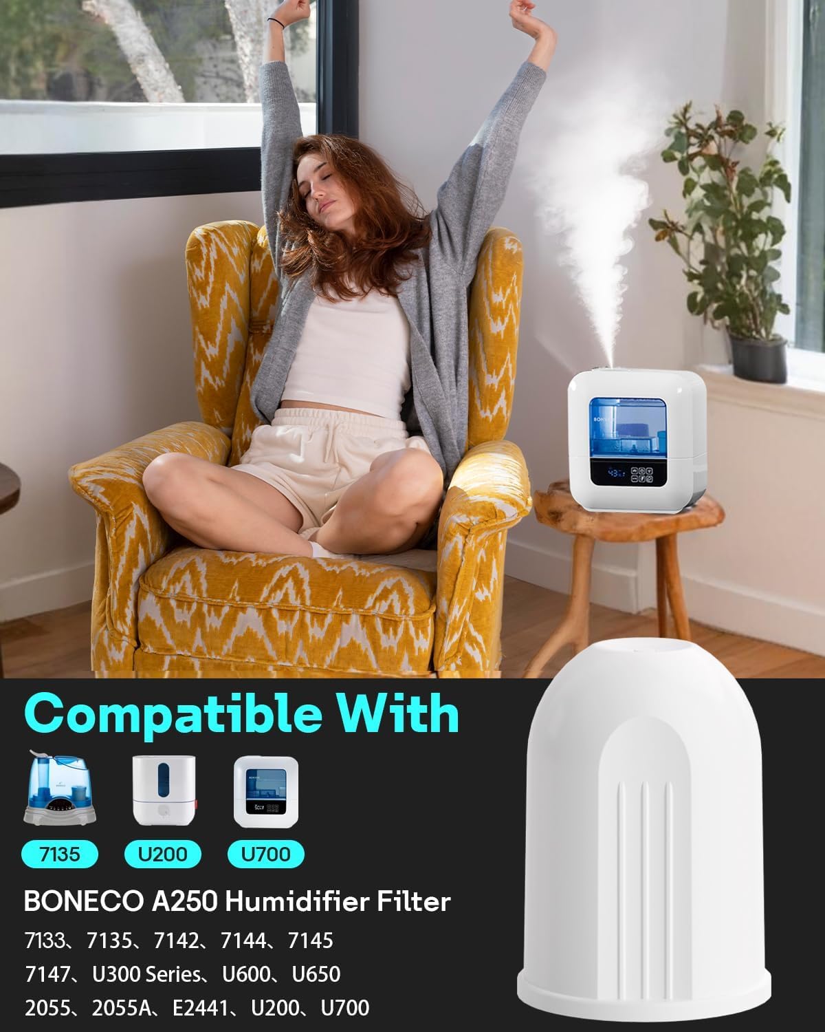 Thumbnail 1 de Leemone A250-2P Aqua Pro Demineralization Filter, 2-Pack for BONECO Humidifiers