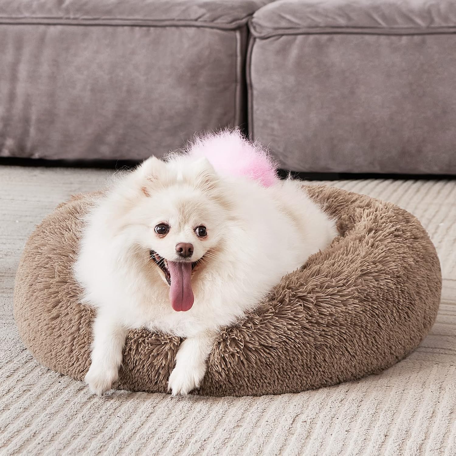 Thumbnail 6 de MIXJOY Orthopedic Dog Bed 23" donut