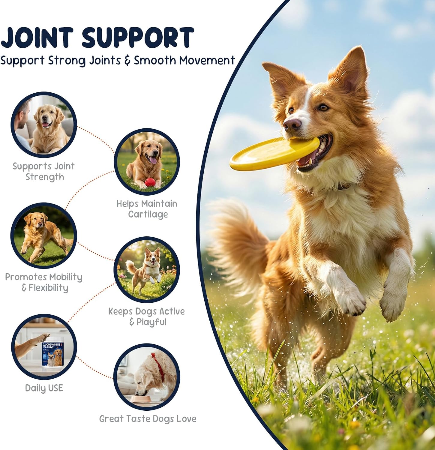 Detalle de Caniforza Dog Joint Supplement, 200 Soft Chews